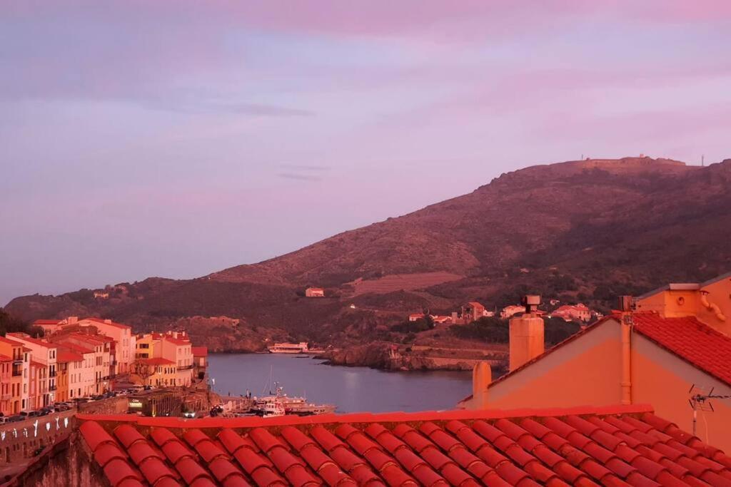 Le Belveze, Emplacement Central Et Calme Port Vendres Extérieur photo